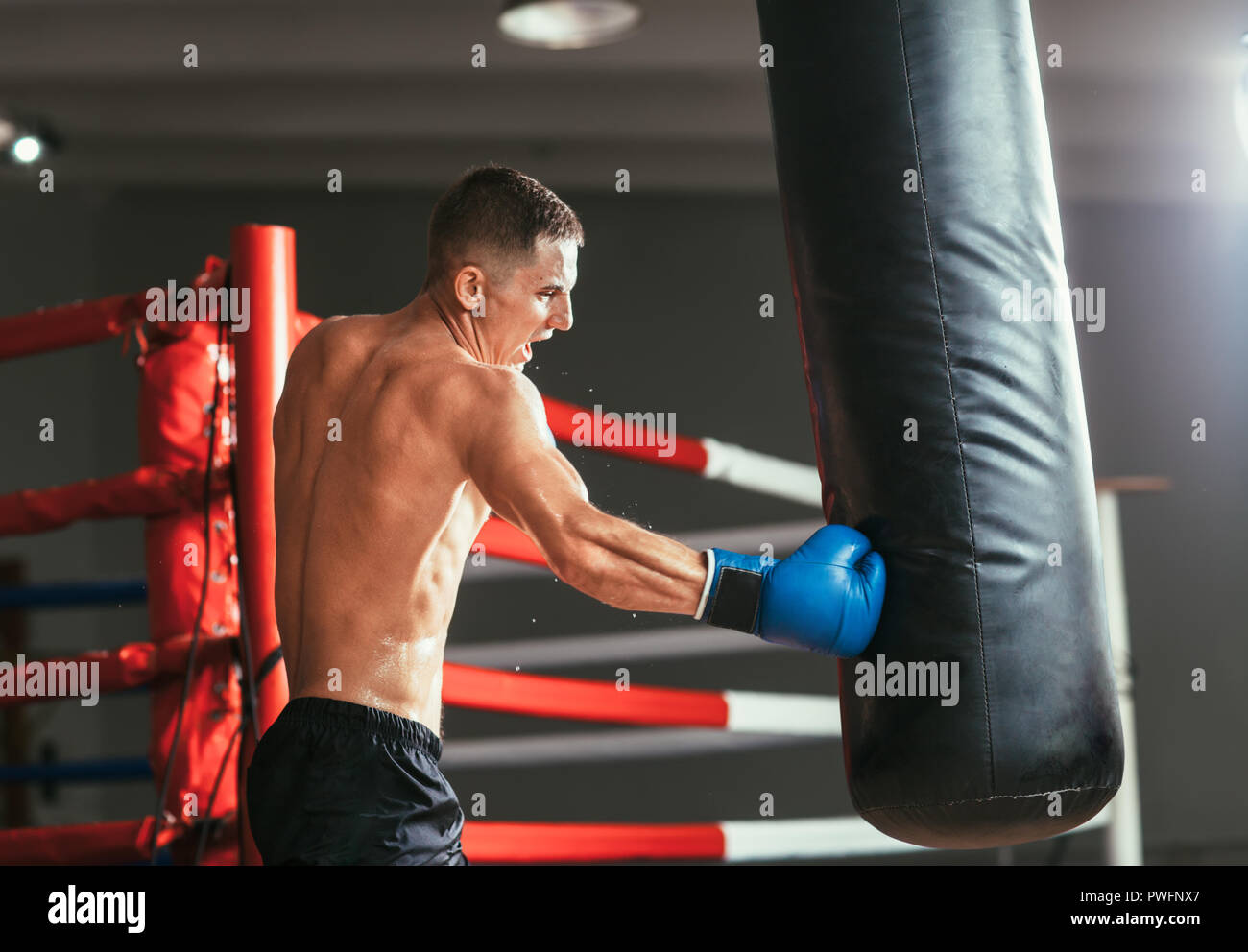 Male boxer hitting punching bag at a boxing studio. Sport training concept Stock Photo