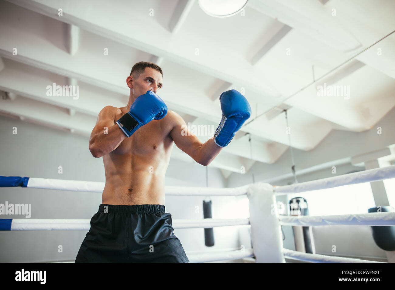 Male boxer fighting in ring. Boxing exercise. Sport concept Stock Photo
