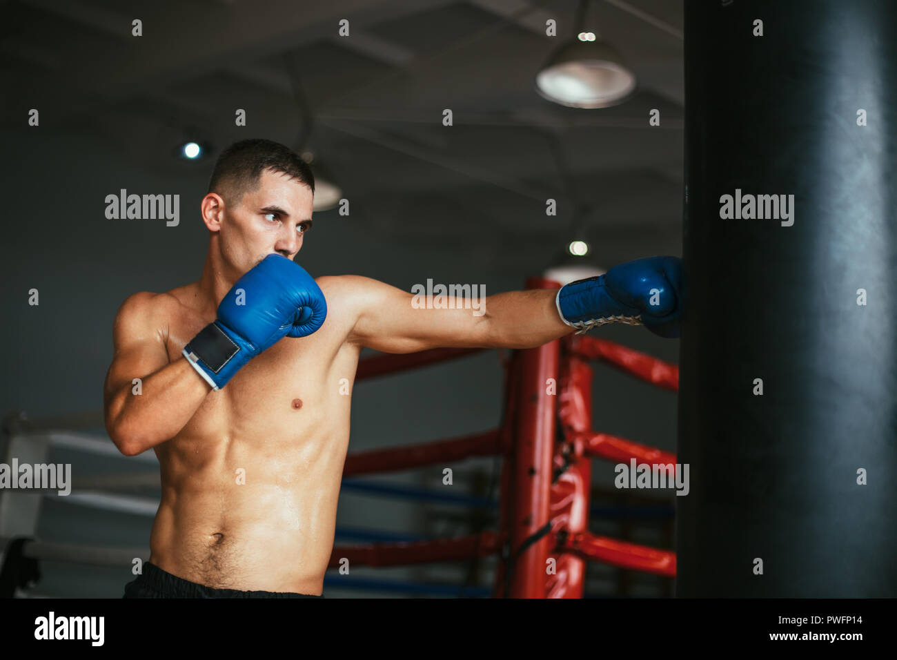 Punching bag workout hires stock photography and images Alamy