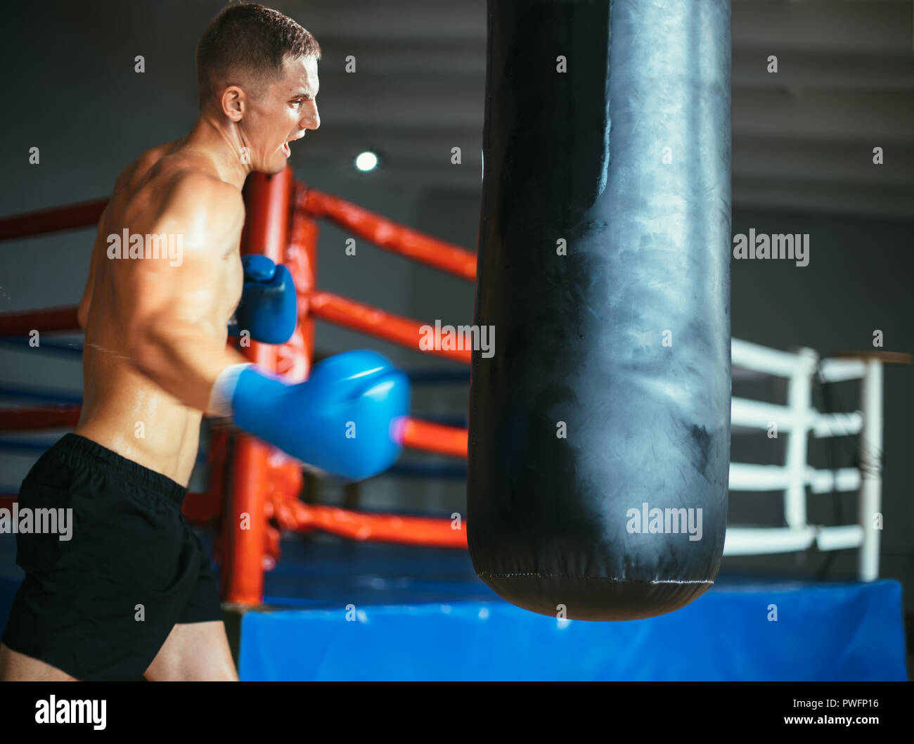 Punching bag workout hires stock photography and images Alamy