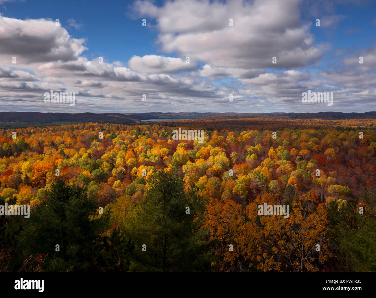 lookout trail algonquin
