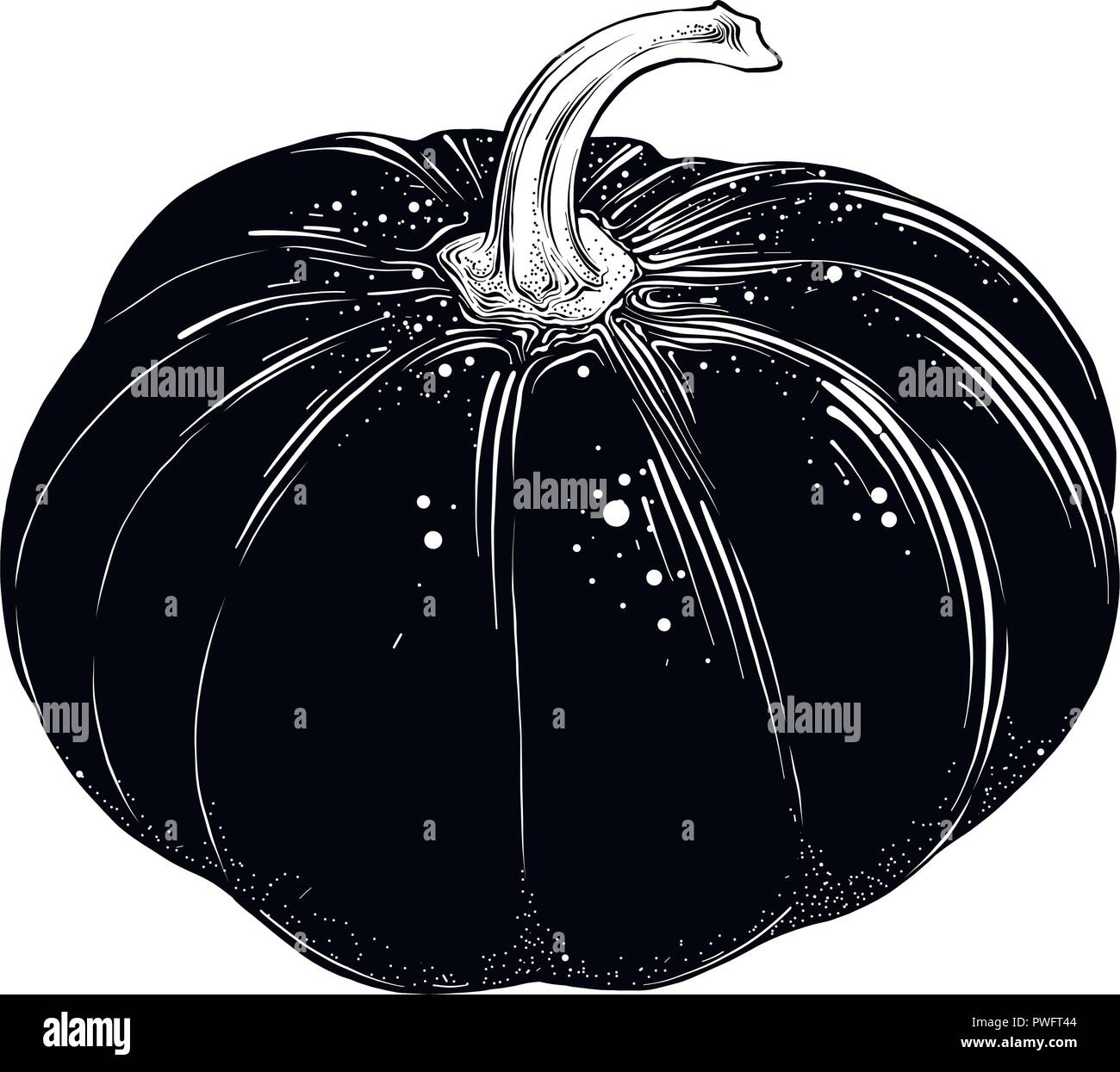 Hand drawn sketch of pumpkin in black isolated on white background ...