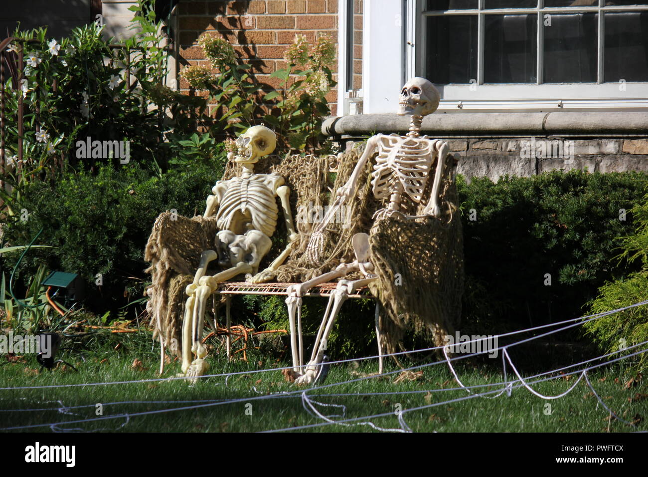 Skeleton On A Bench Stock Photo 330388598 Alamy