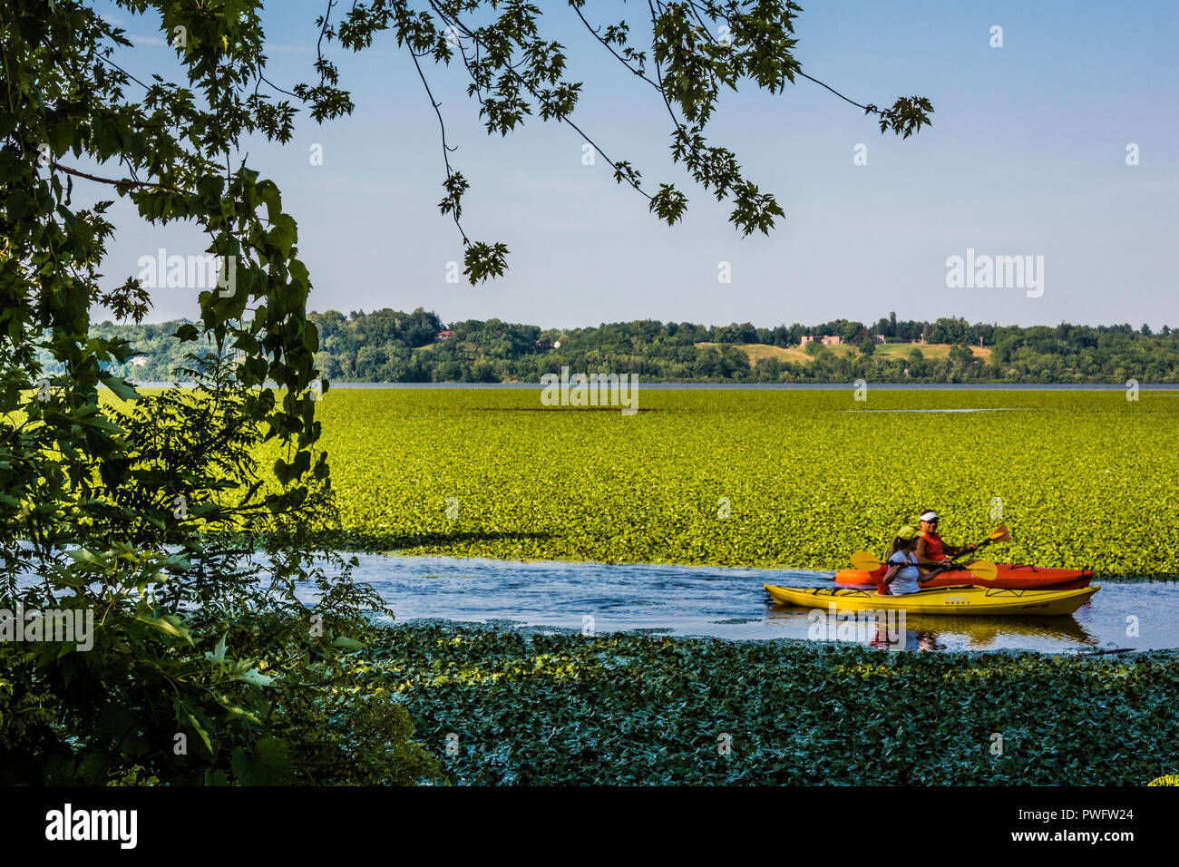 Kayakers Lighthouse Park Ulster Park, New York, USA Stock Photo Alamy