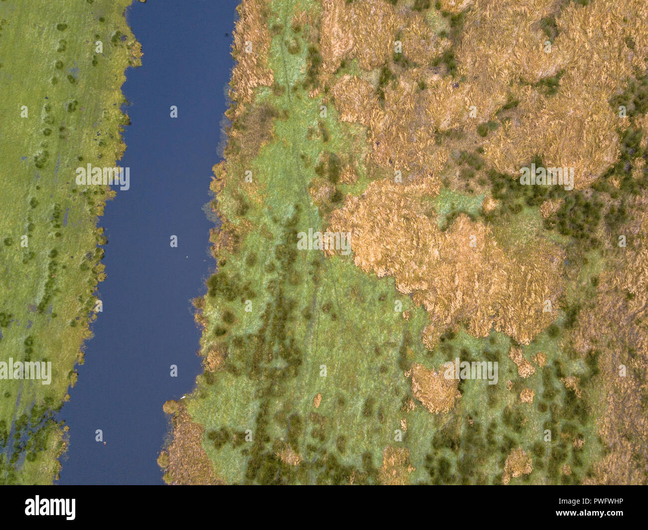 Aerial view of agricultural marshland with canal and wet grassland Stock Photo