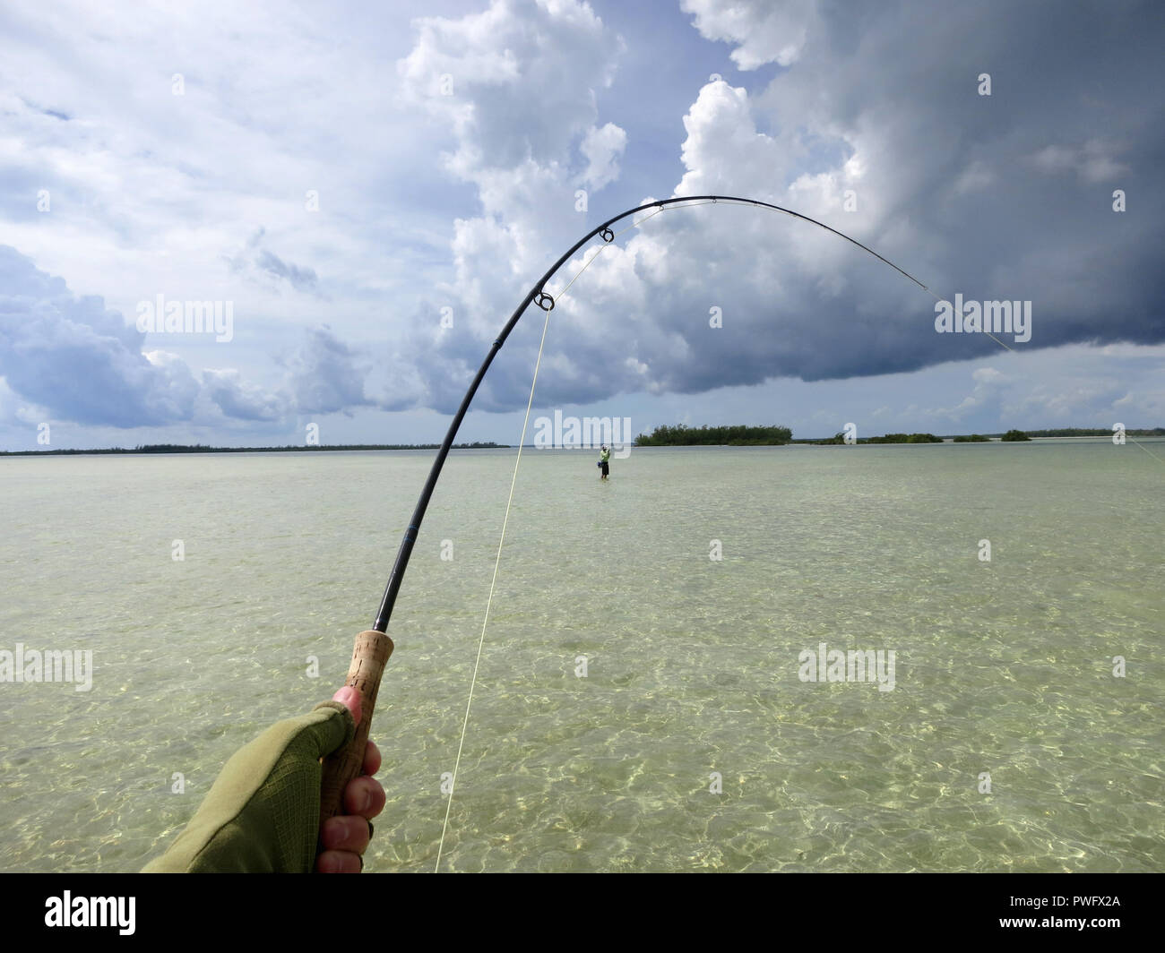 Scene from saltwater fly fishing for bonefish, tarpon, roosterfish