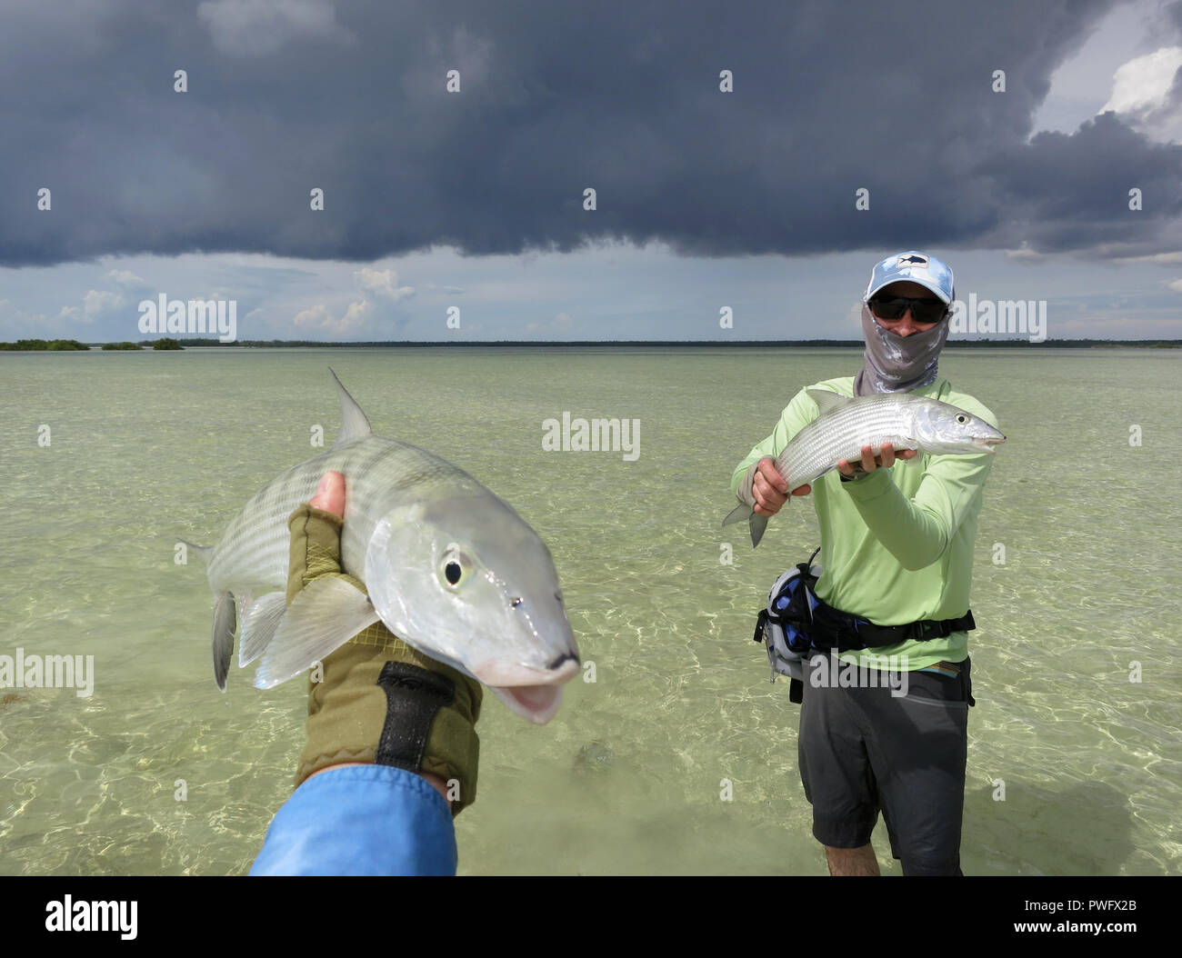 Scene from saltwater fly fishing for bonefish, tarpon, roosterfish