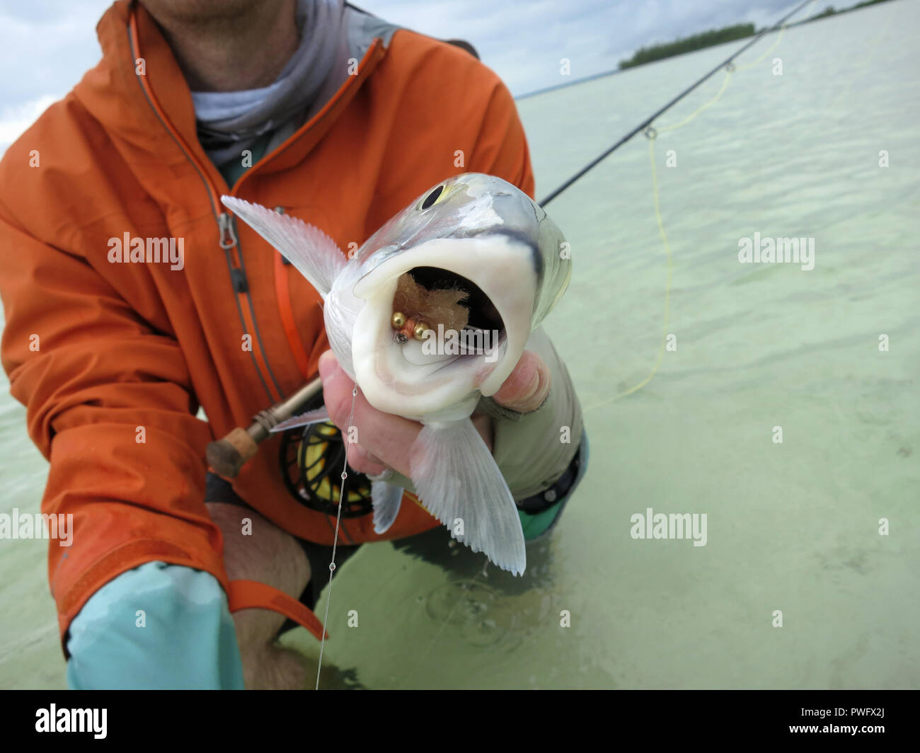 Scene from saltwater fly fishing for bonefish, tarpon, roosterfish