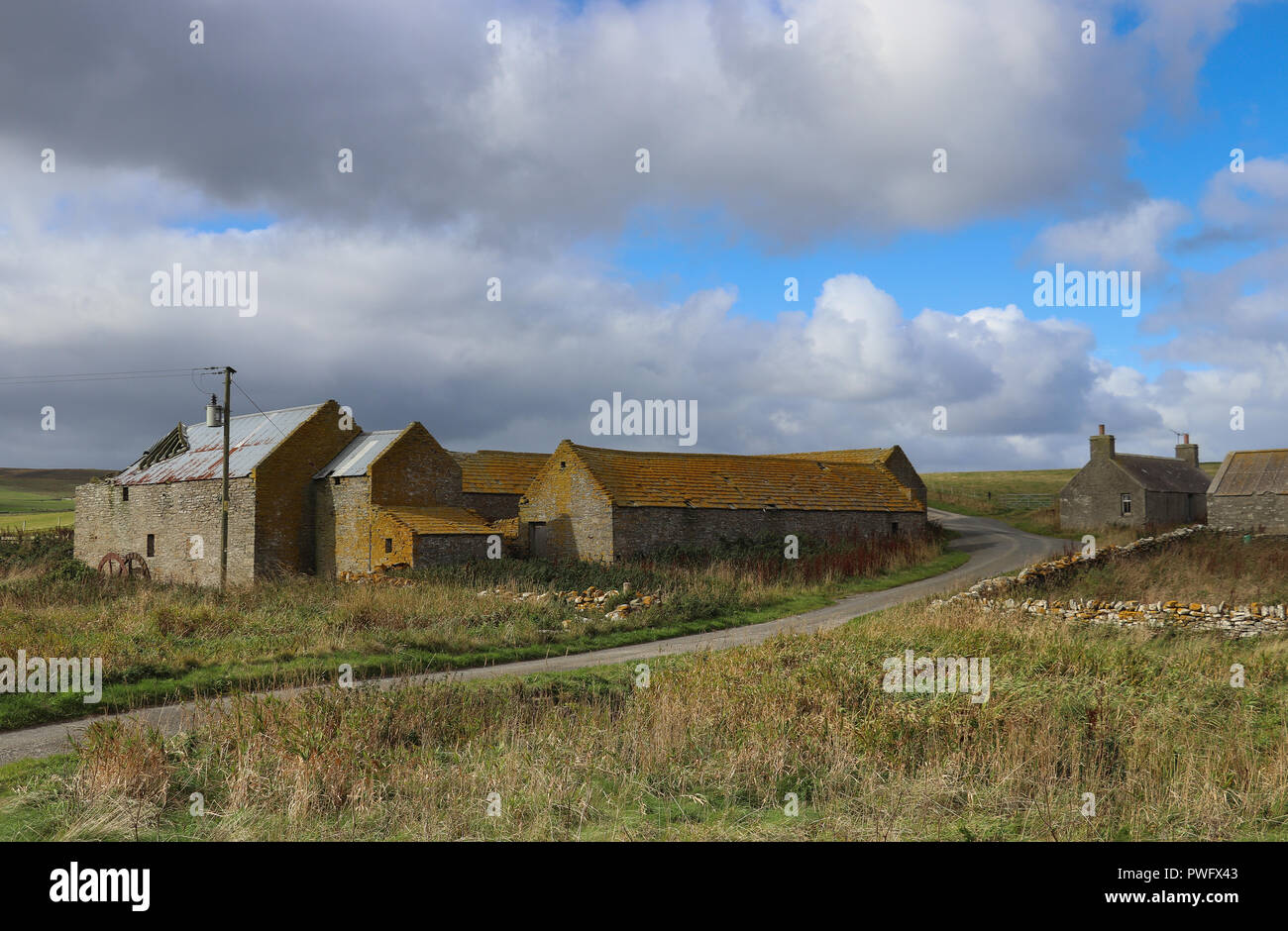 Old stone barns with roofs covered in yellow lichen, under a blue sky with billowing white clouds, green grass, on Rousay Island, Orkney, Scotland Stock Photo