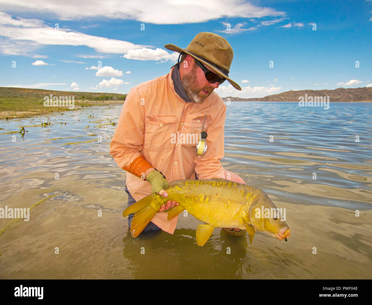 Freshwater fly fishing for trout and salmon. Stock Photo