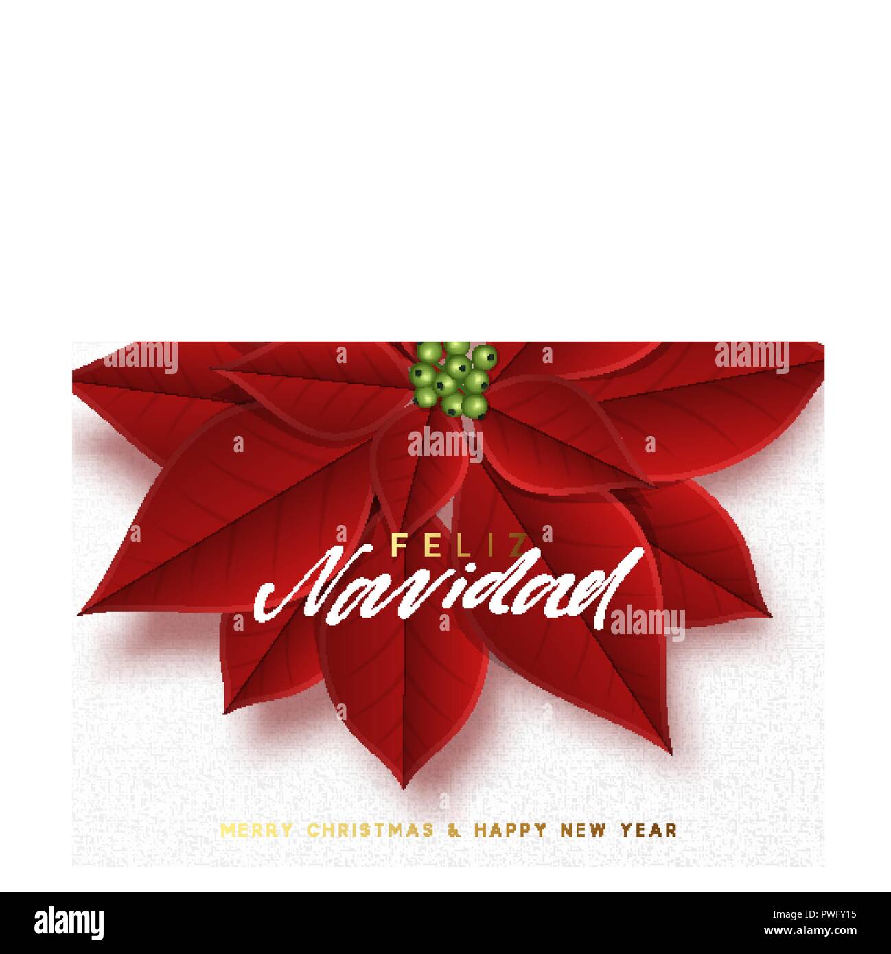 Merry Christmas, background decorated with beautiful red buds poinsettia flowers. Spanish text Feliz Navidad Stock Vector