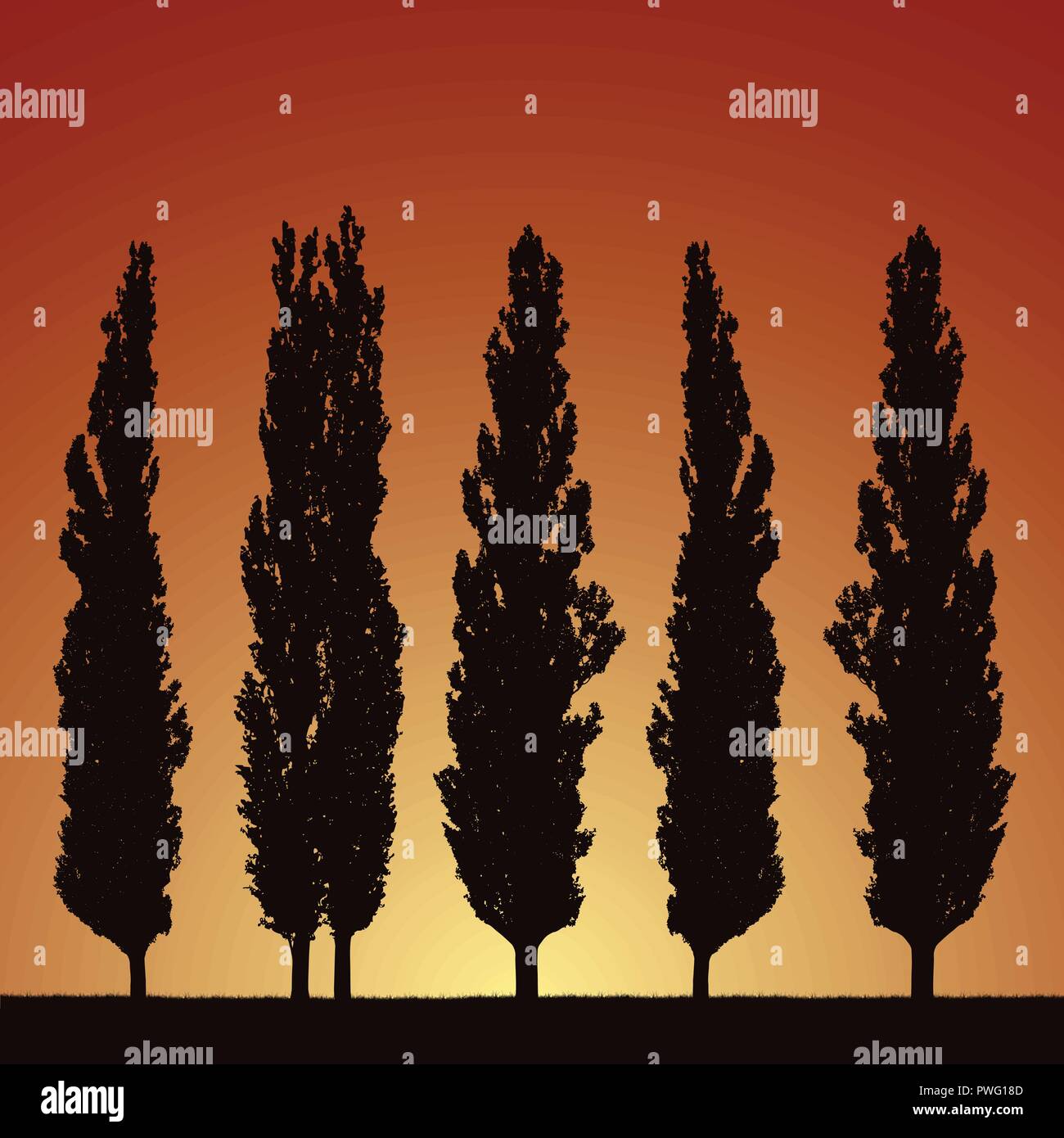 Realistic illustration of silhouettes of five trees - poplars, grass and rising or setting sun on morning or evening orange sky - vector Stock Vector