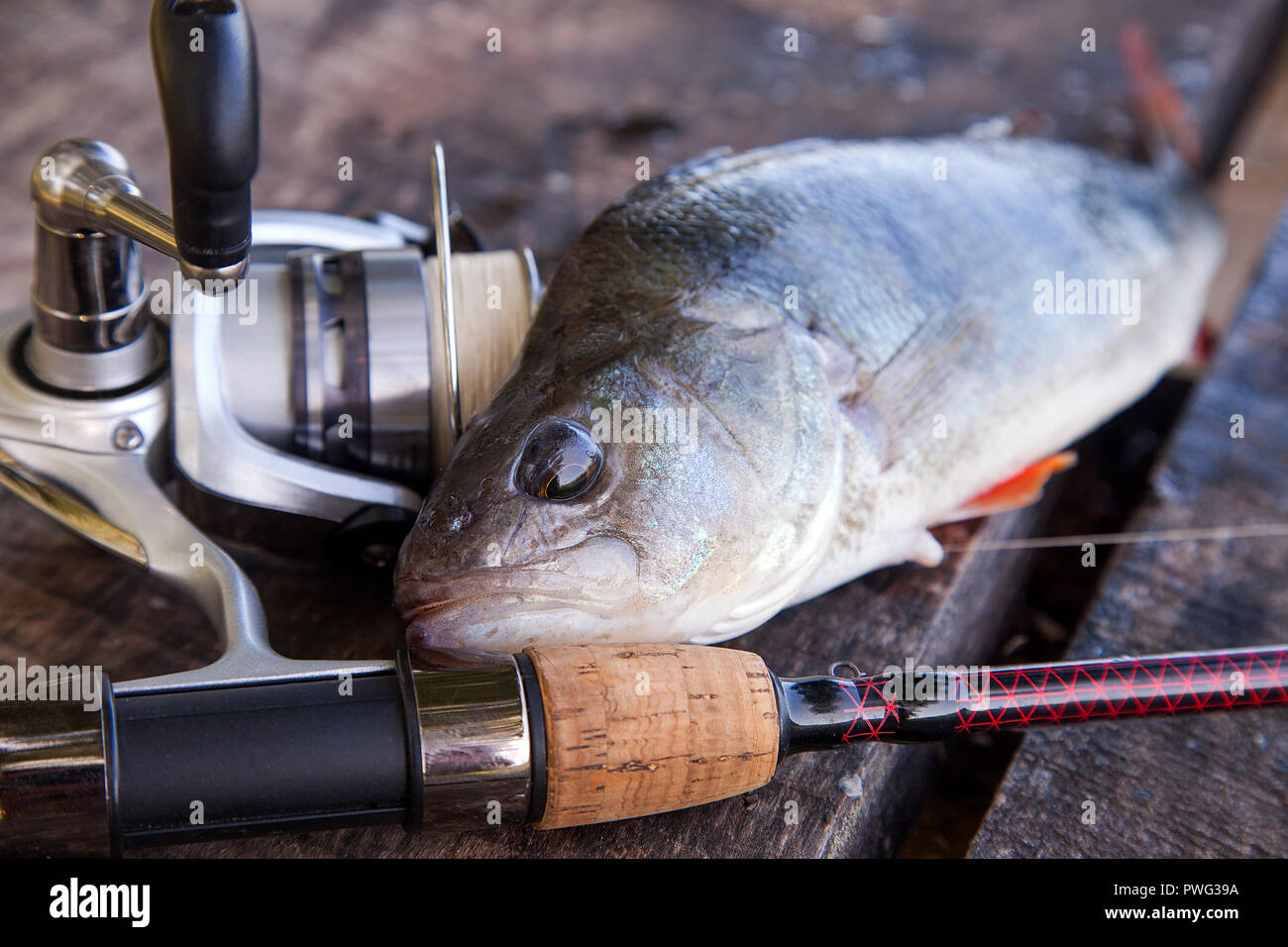 vintage fishing rod with a big reel and a wobbler on a wooden background  Stock Photo - Alamy