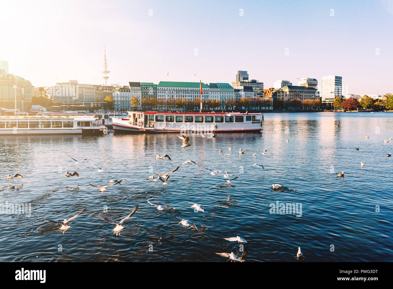 seagulls and passenger crafts on Alster Lake in Hamburg Stock Photo