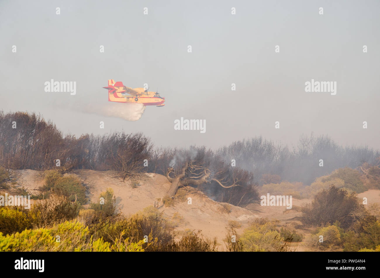 firefighting aircraft, canadair in action, throwing water into the fire in the natura forest Stock Photo