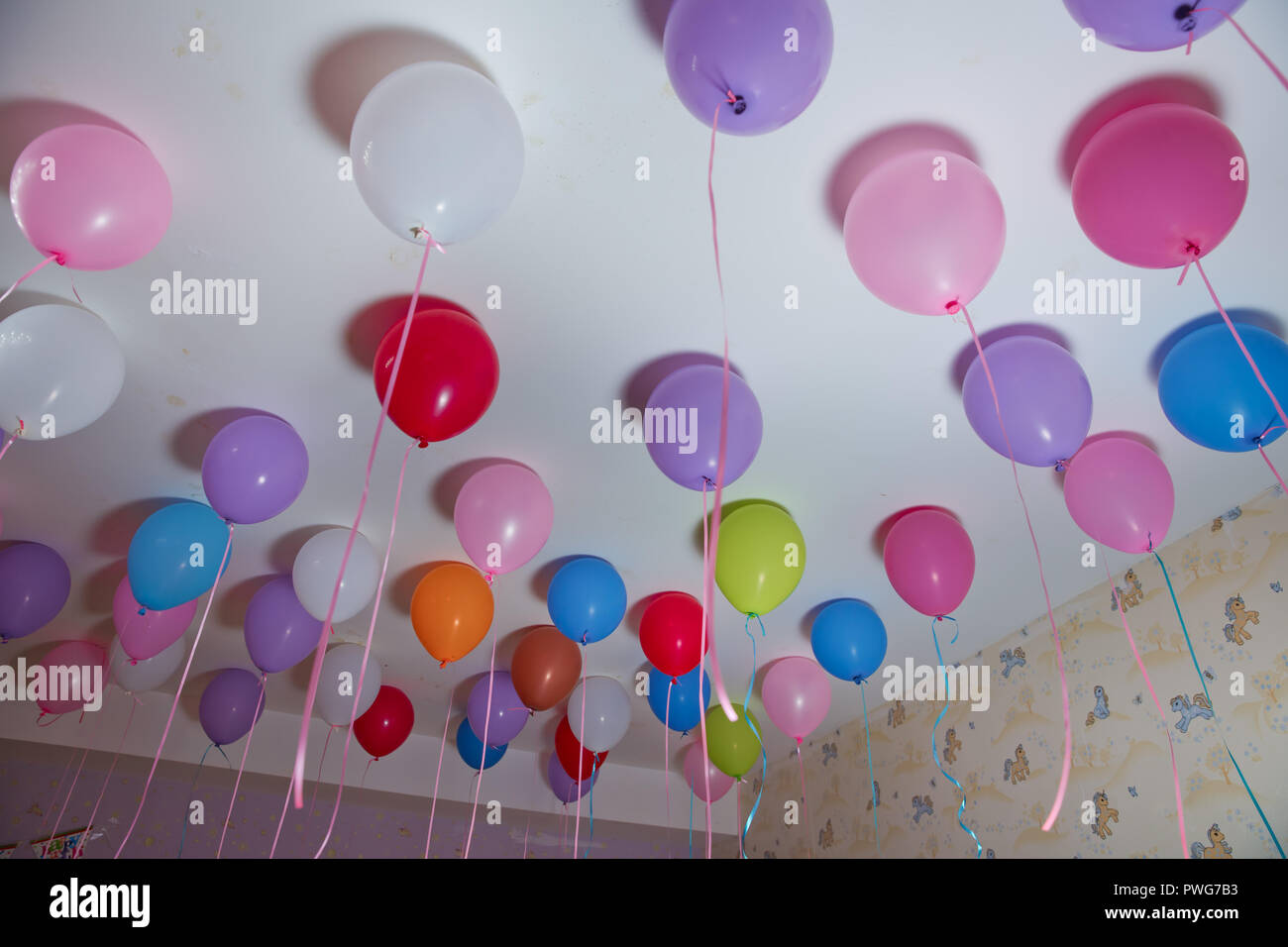 Helium Balloons Colorfull Balloons Float On The White