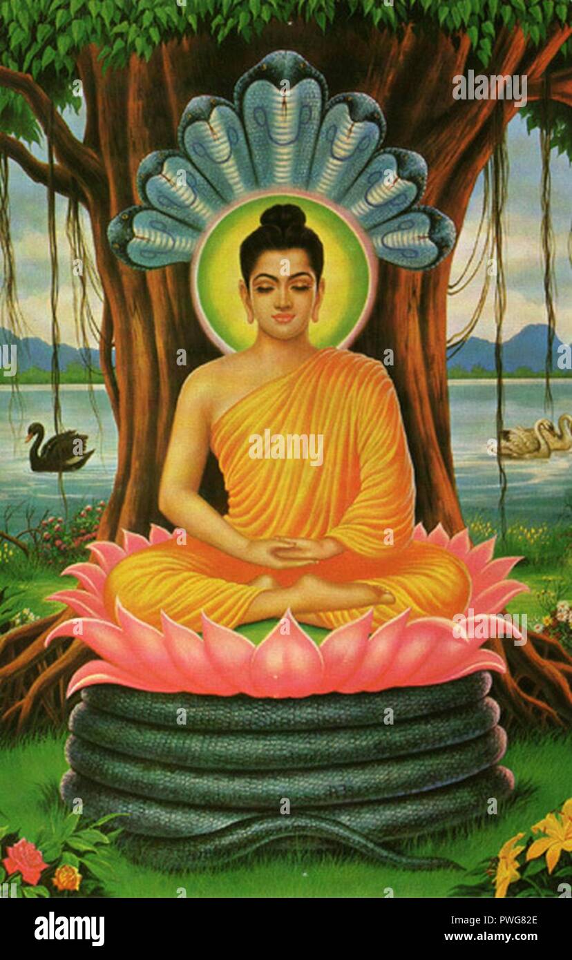 Buddha meditating Stock Photo Alamy