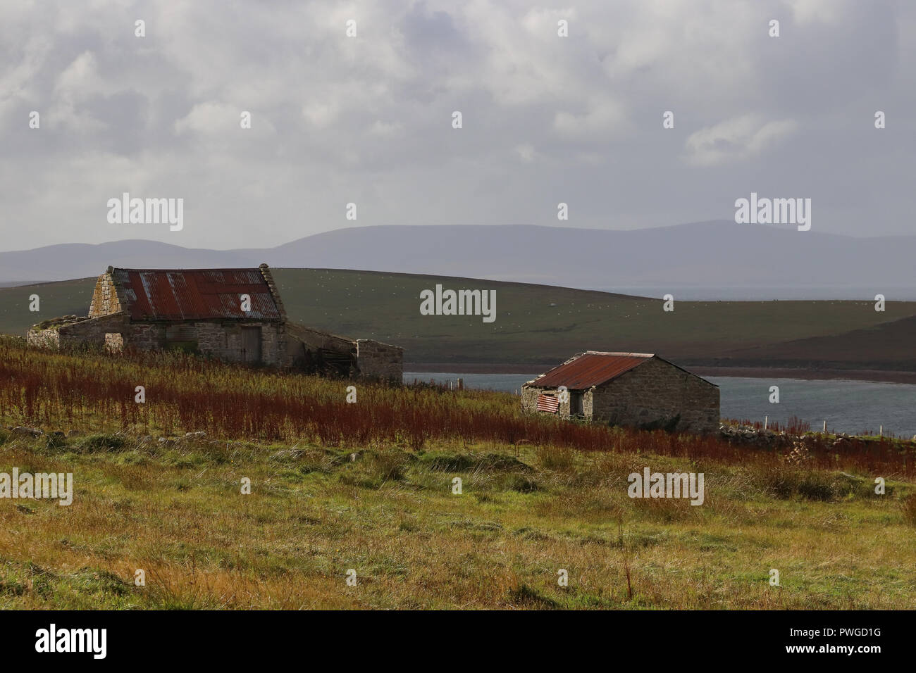 Two old rusty roofed stone farm buildings on a sloping field of colorful grasses, Hunda and Hoy in the background, clouds,on Burray in Orkney,Scotland Stock Photo