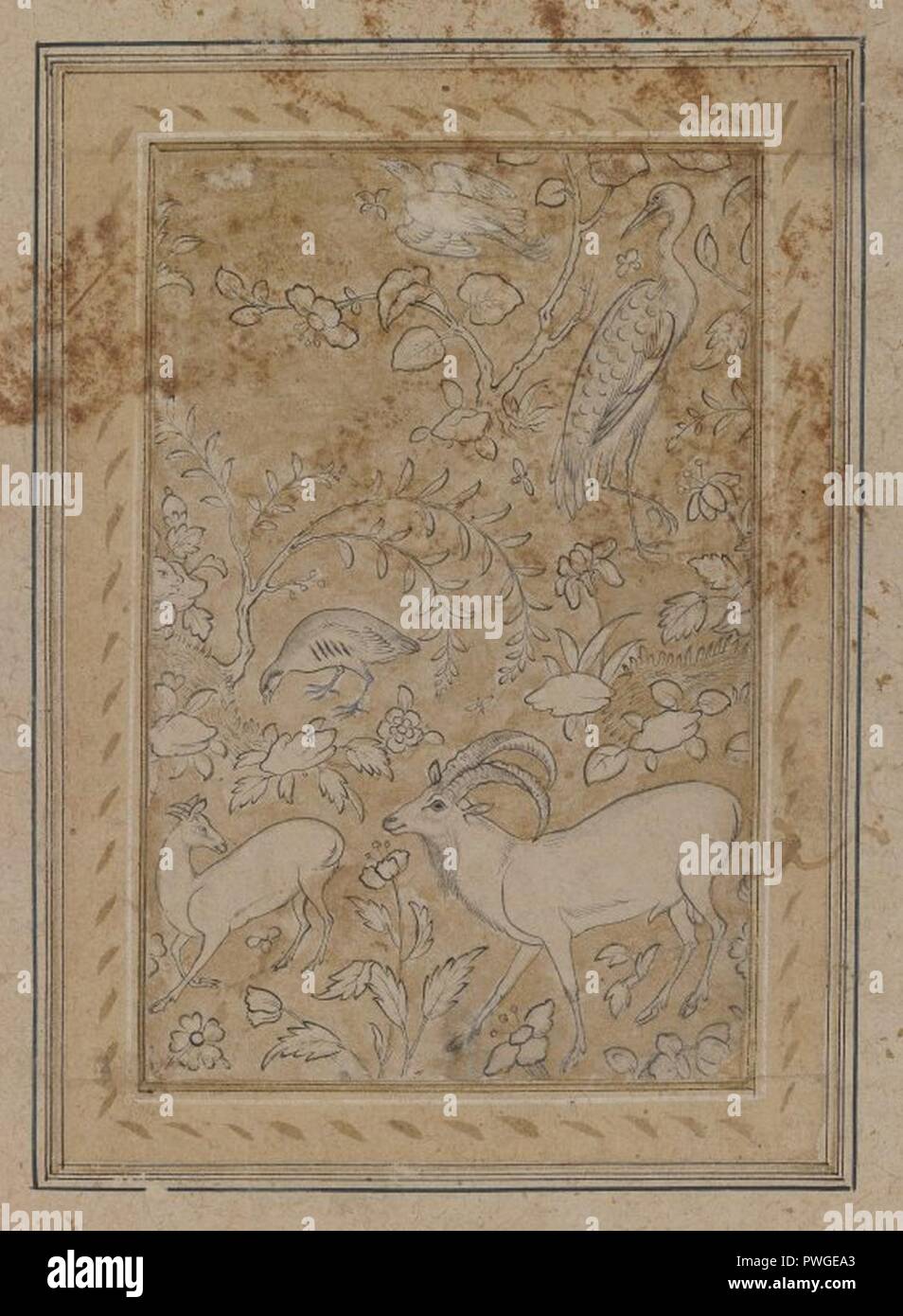 Drawing of Animals and Plants Stock Photo Alamy