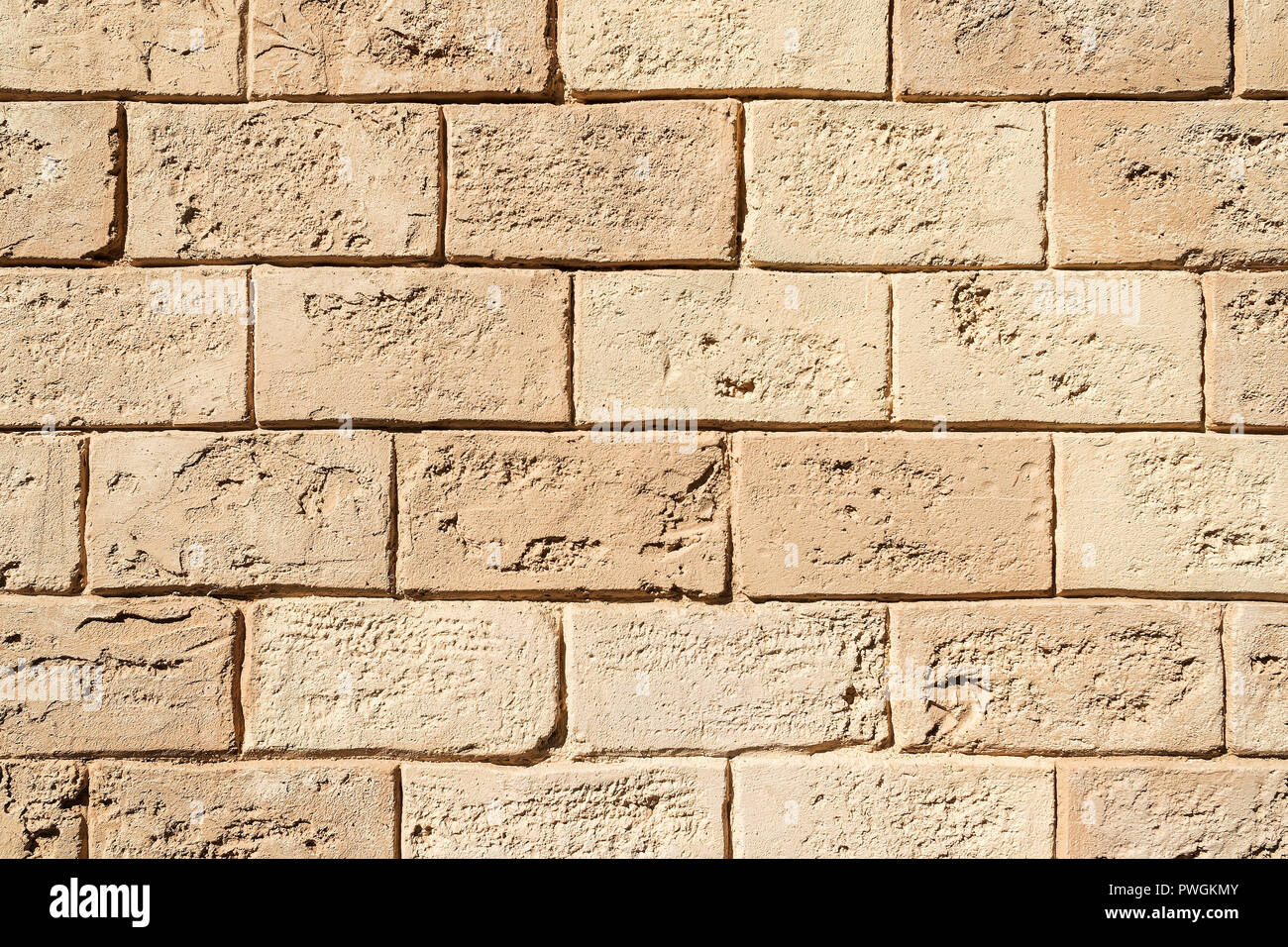 Texture brickwork from decorative shellfish, like art background Stock Photo
