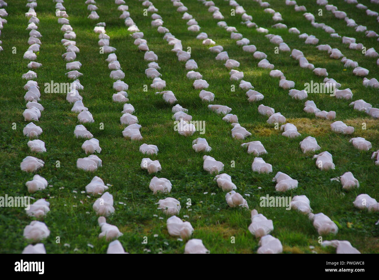 Shrouds of the Somme at Salisbury Cathedral Stock Photo