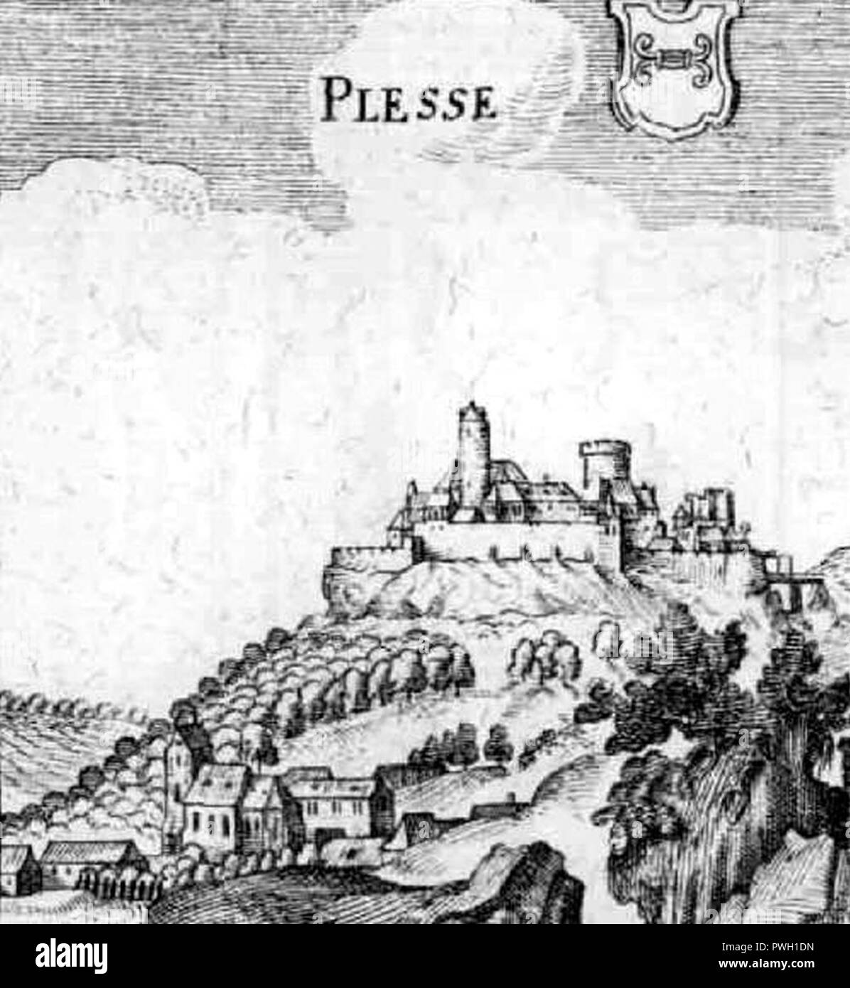 Plesse High Resolution Stock Photography And Images Alamy