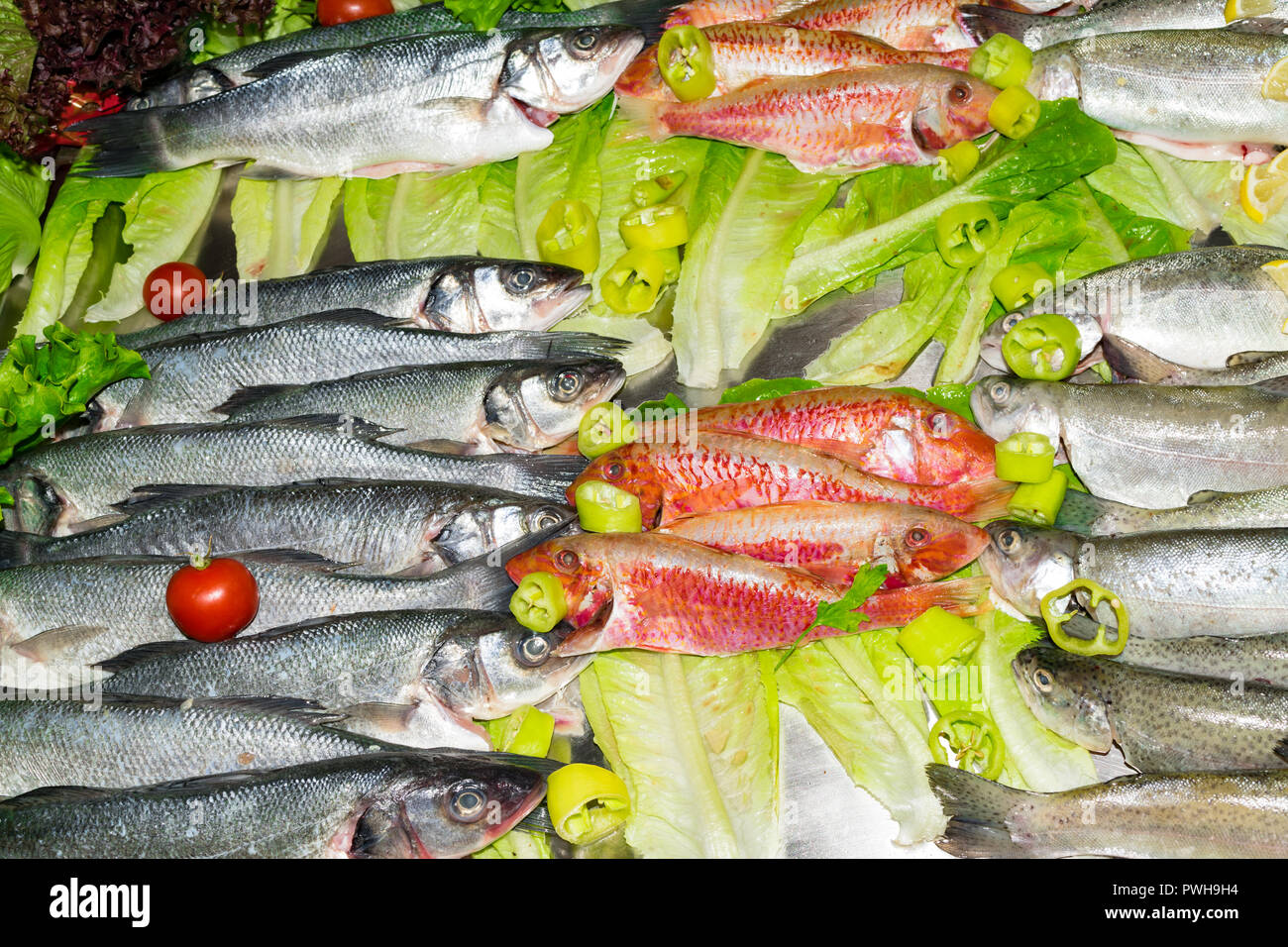 Fish mullet - a small delicacy Fish mullet - a small delicacy