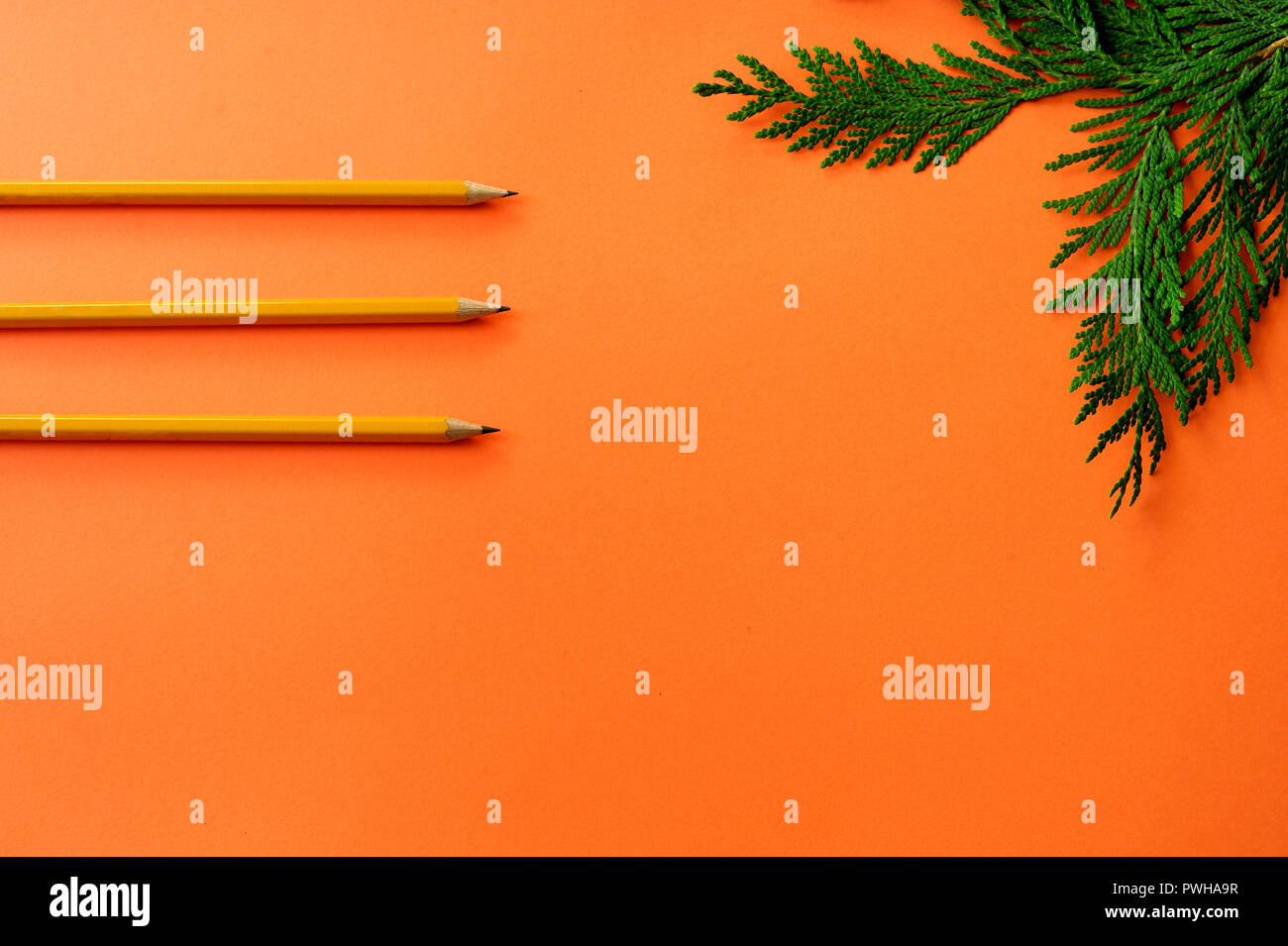Pencils for drawing and thin orange cardboard. Stock Photo
