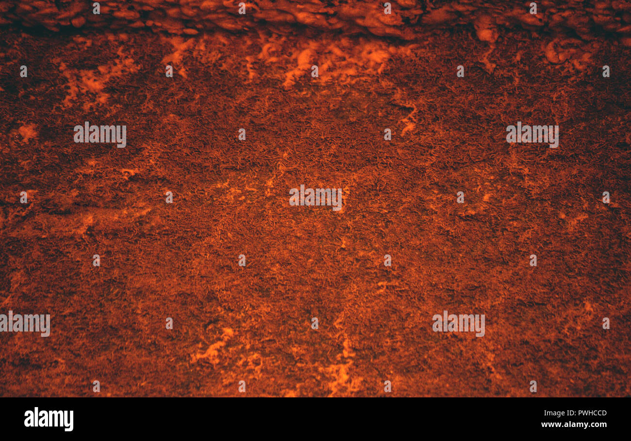 piece of wall of red, orange and yellowish shades, the whole surface is mottled curved small lines and patterns, old texture, shabby appearance, Stock Photo