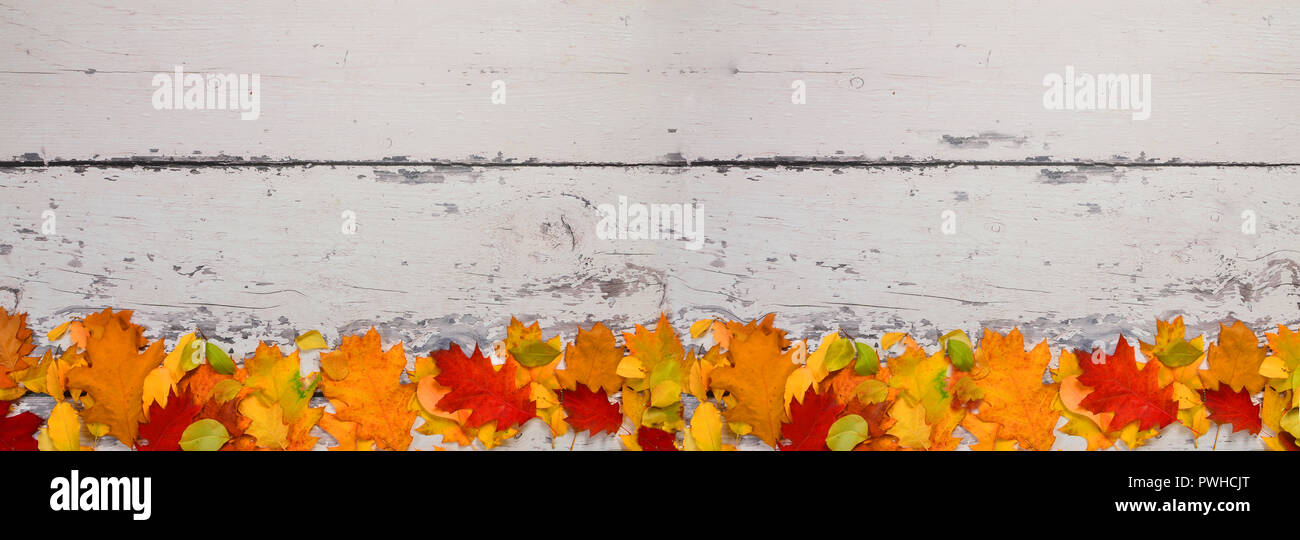 Autumn colored leaves of different trees on the background of old boards Stock Photo