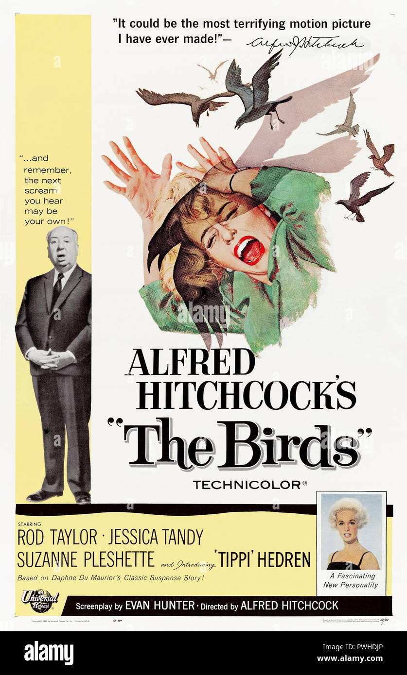 Alfred Hitchcock Master of Suspense TV Film Director The Birds Promo  Photograph 1963