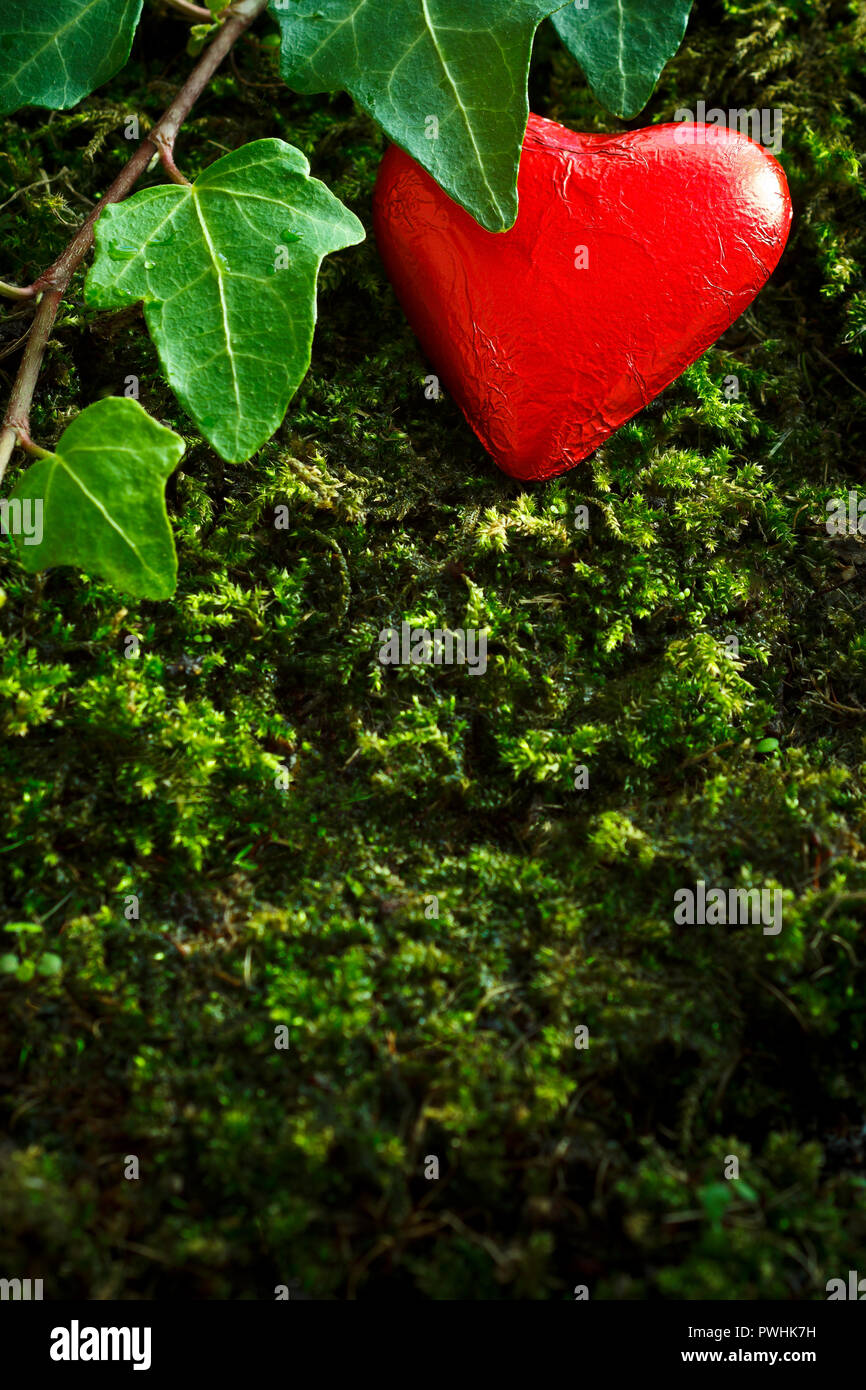 Chocolate heart in bright red foil wrapper on dark green moss and ivy leaves, symbol of fidelity. Romantic background texture, copy space Stock Photo
