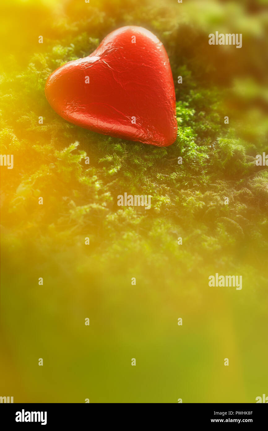 Chocolate heart in bright red foil wrapper on moss in magical light. Romantic background texture with plenty text or copy space. Stock Photo