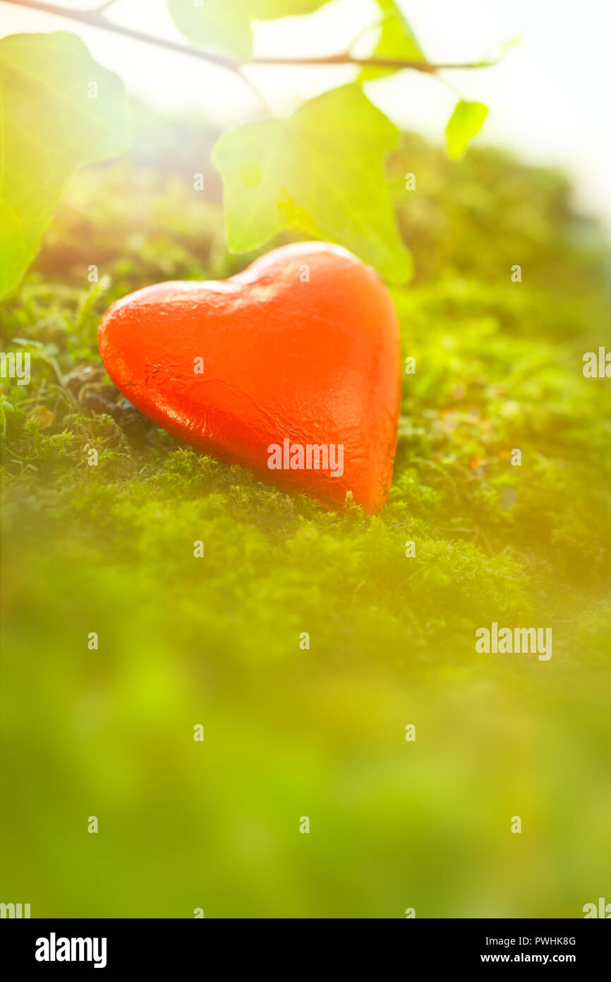 Chocolate heart in bright red foil wrapper on moss in magical light. Romantic background texture with plenty text or copy space. Stock Photo