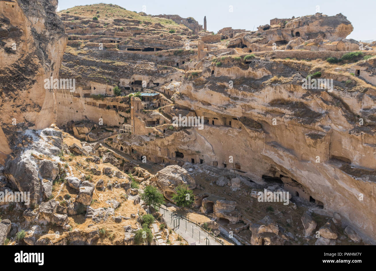 Sylvia Saint blowjob rasmlar