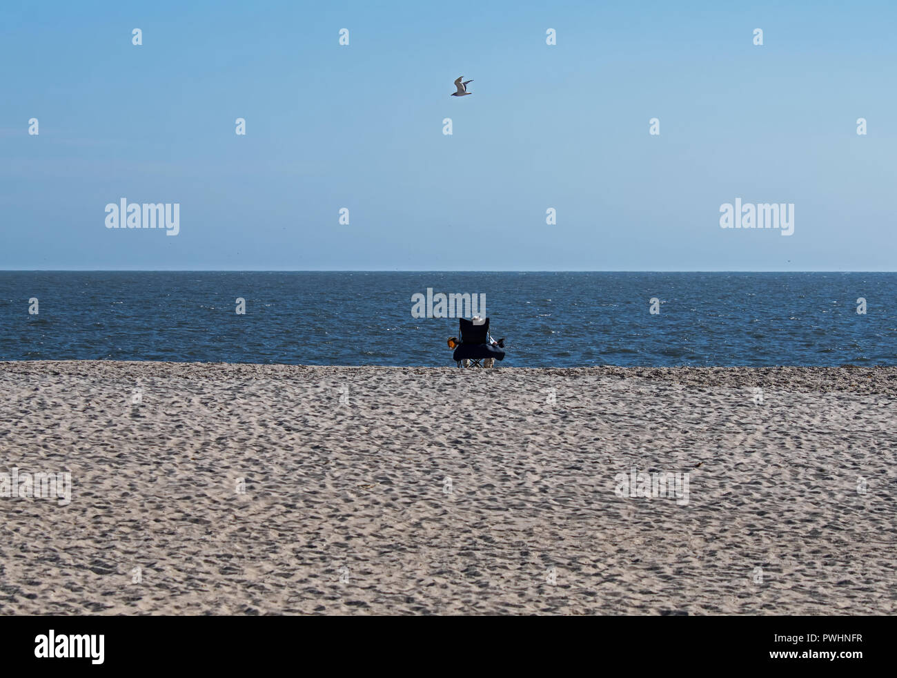 Man watching women on beach hi-res stock photography and images - Alamy