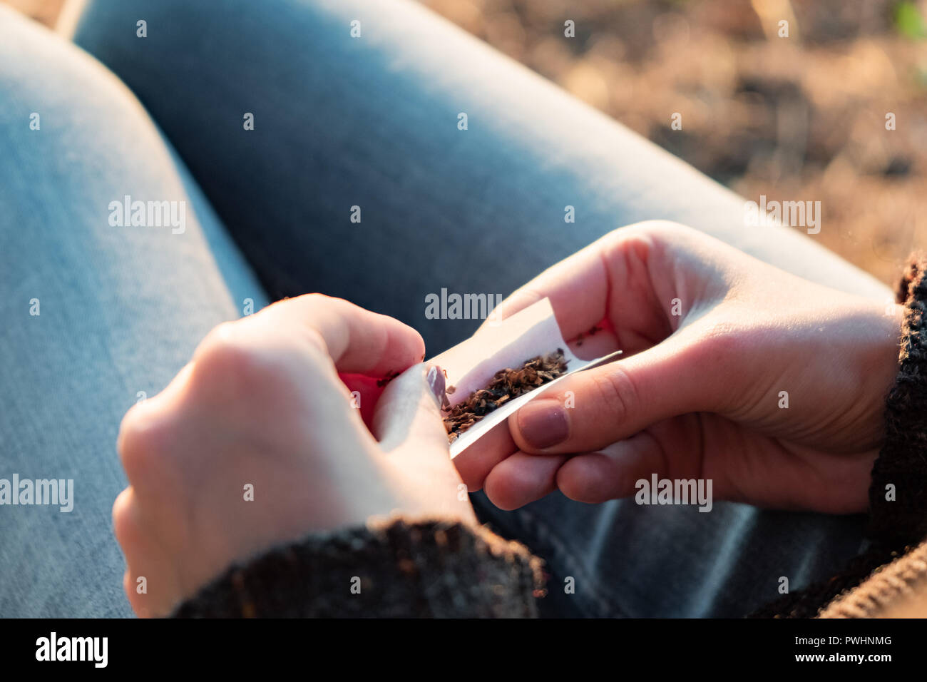 Rolling a tobacco cigarette. Close up image of female hands making a joint outdoors in sunlit background Stock Photo