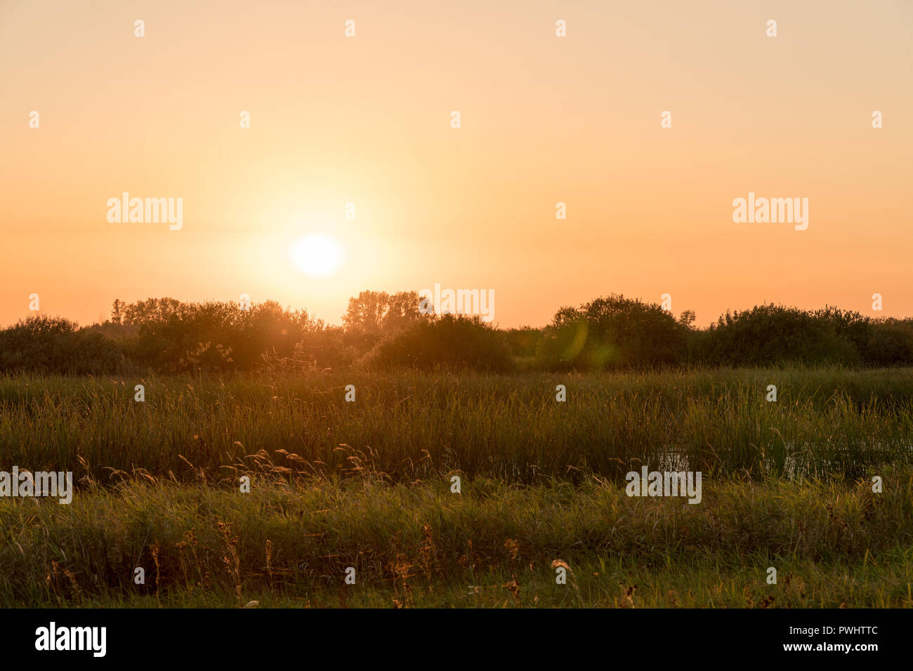 Sunrise over forest field hi-res stock photography and images - Alamy