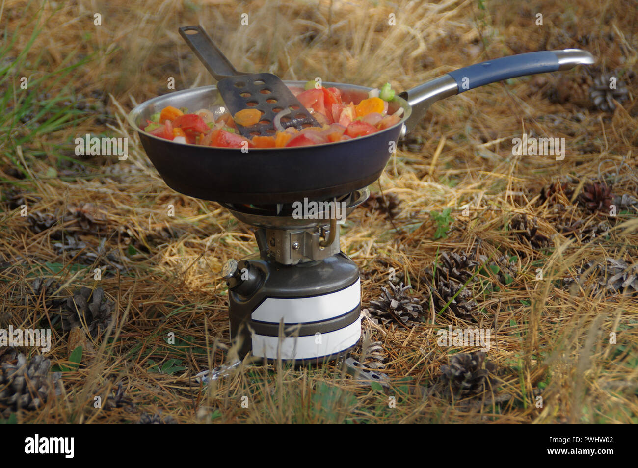 Hot meal on pan on the survival stove. Camp cooking. Stock Photo