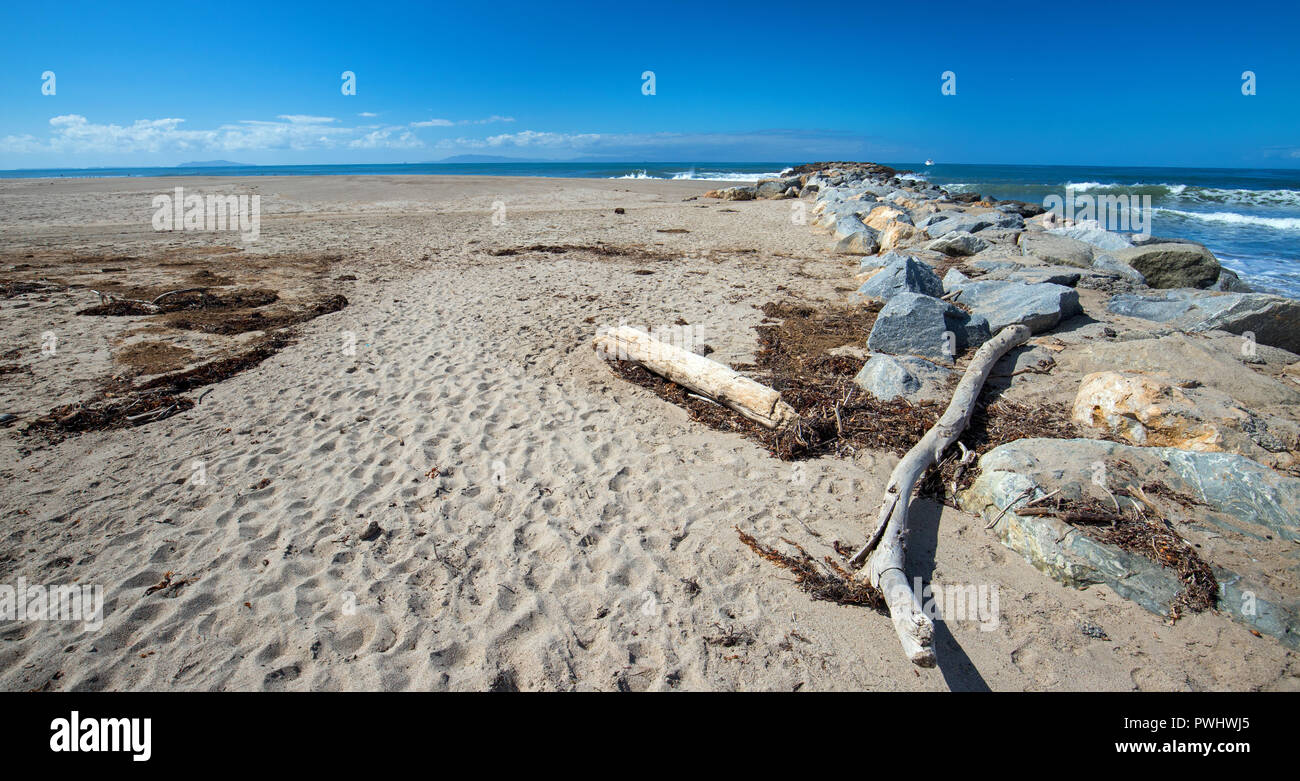 Driftwood on Surfers Knoll beach in Ventura California United States