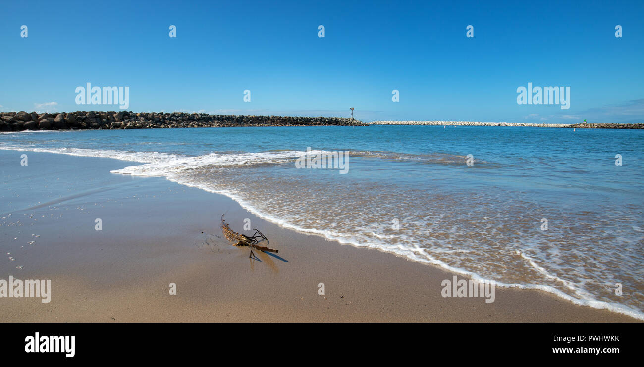Driftwood on Surfers Knoll beach in Ventura California United States Stock Photo