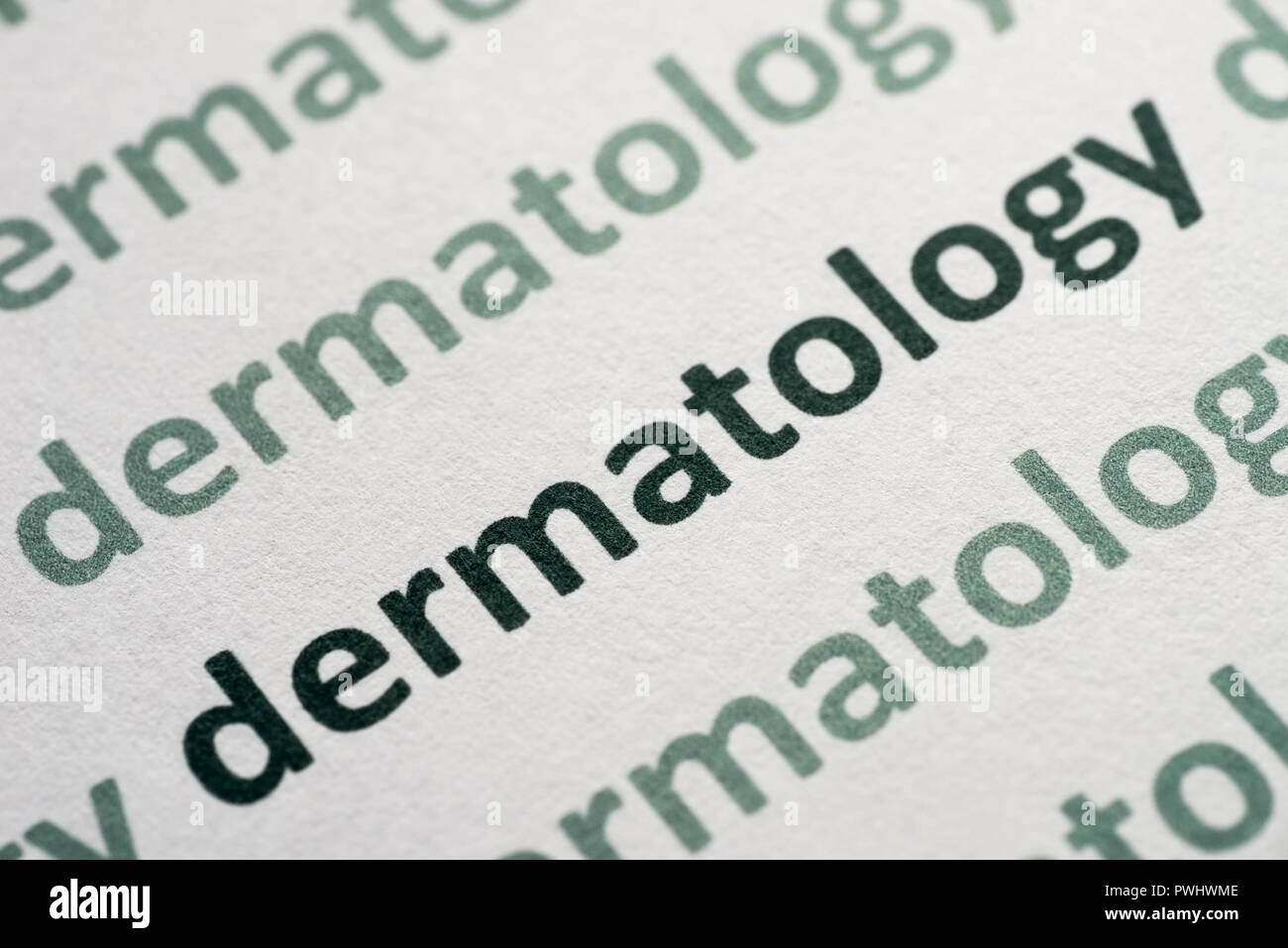 word dermatology  printed on whte paper macro Stock Photo