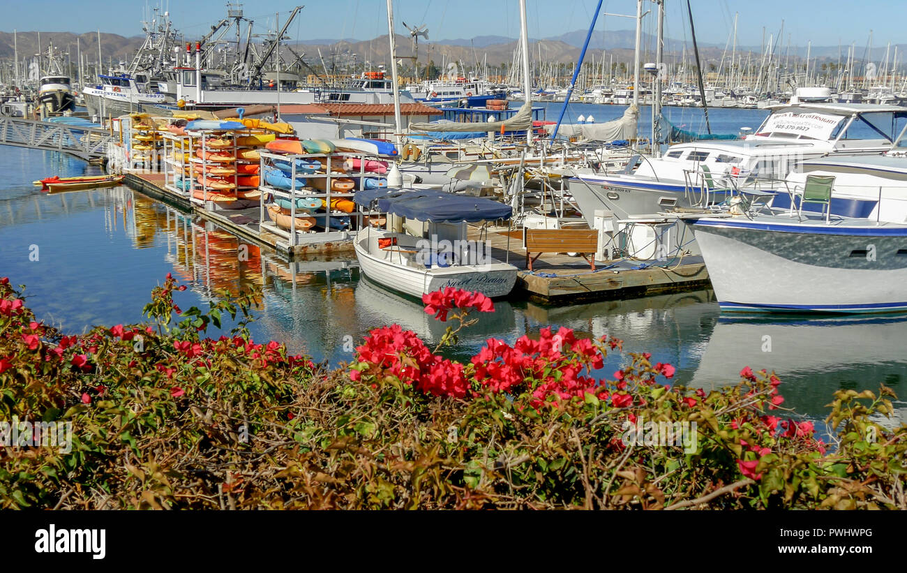 Recreational and fishing boats at the dock in Ventura Harbor, Ventura