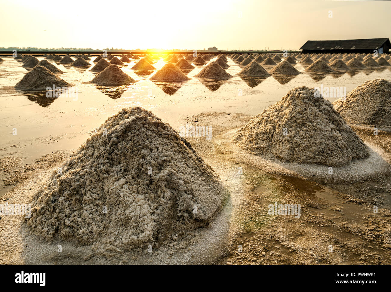 Piles of sea salt in the salt farm Stock Photo