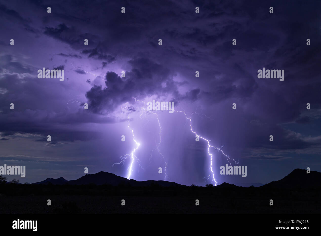 Lightning bolts strike from a storm cloud in the night sky Stock Photo