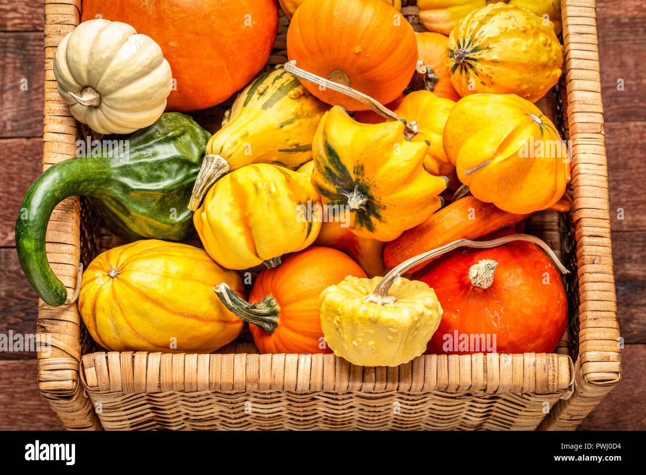 background of colorful winter squash and ornamental gourds in a basket Stock Photo