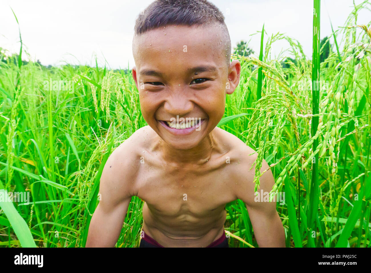 Smiling Rural Kid Rural children are enjoying the rice field,A healthy kid in a green ...