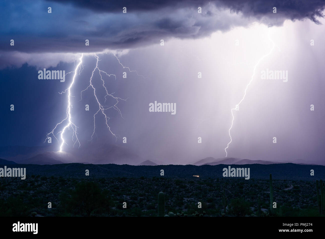 Thunderstorm in Wilderness