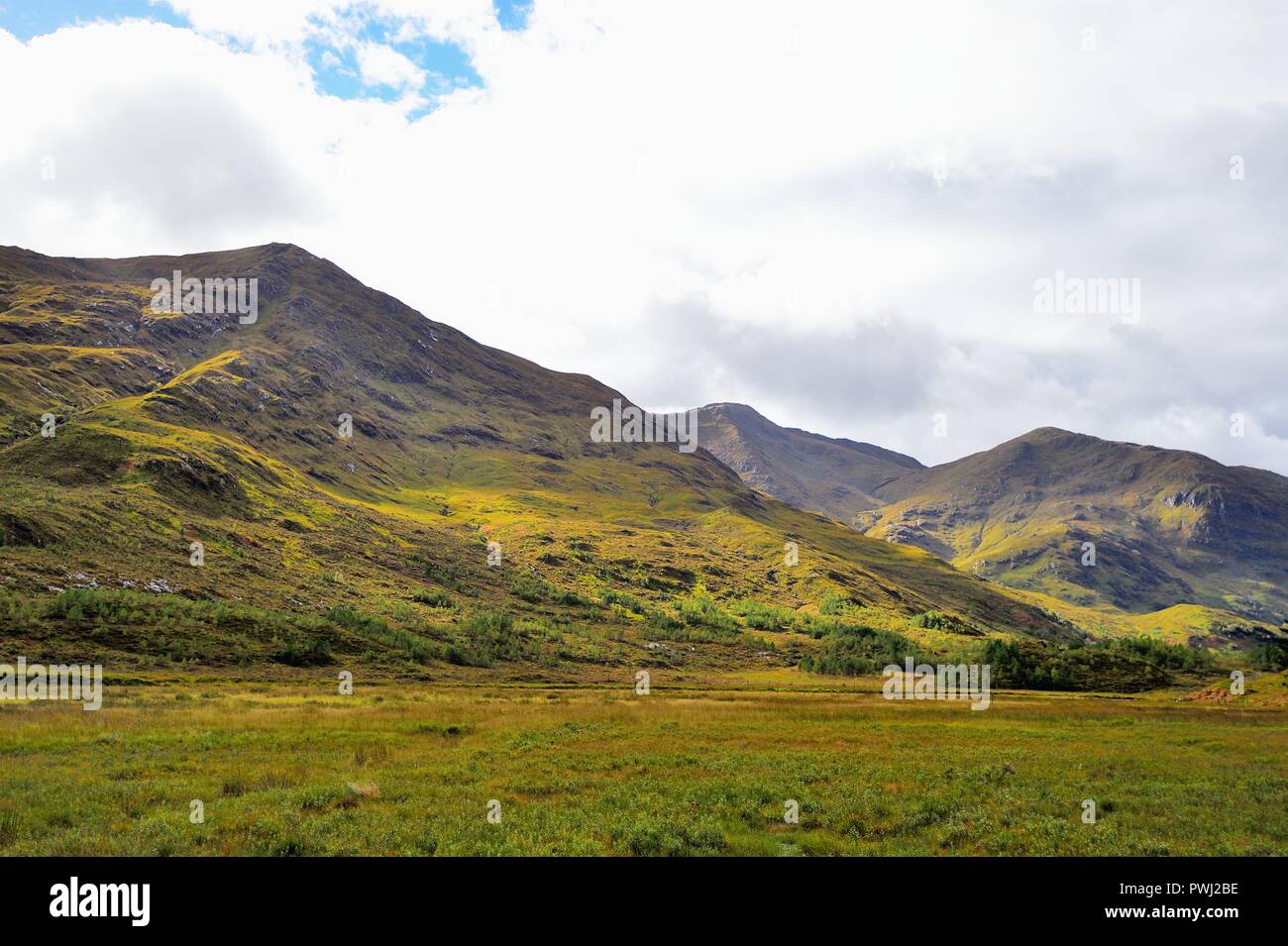 Invershiel, Highlands, Scotland, United Kingdom. The beauty of the heather in the Scottish Highlands is apparent in this early autumn scene. Stock Photo
