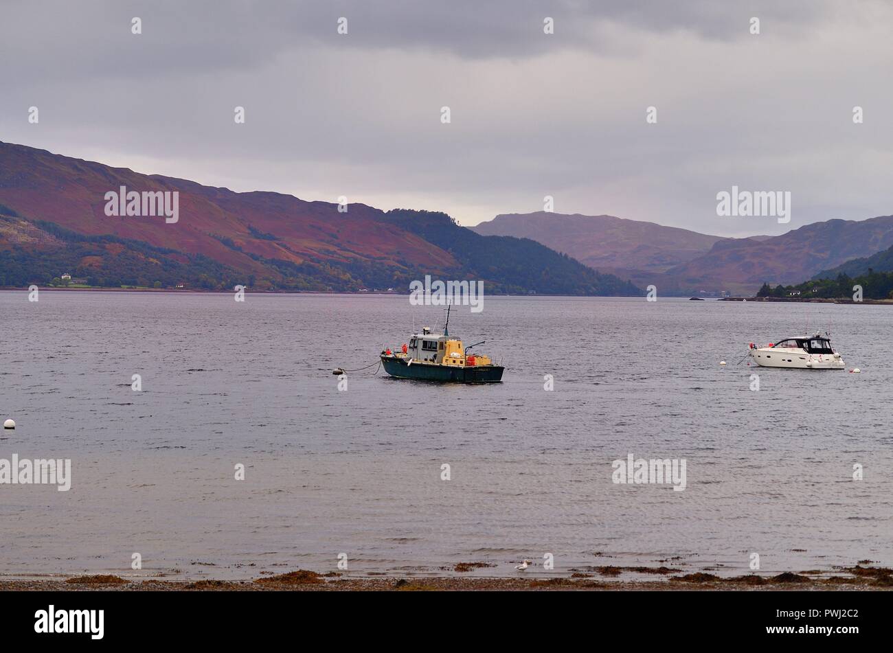 Shiel Bridge, Highlands, Scotland, United Kingdom. Boats anchored near the shore of Loch Duich. Stock Photo